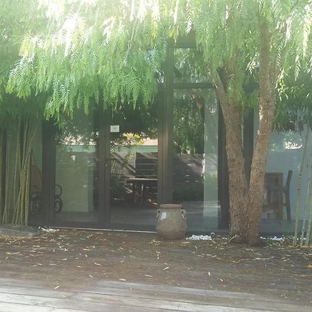 Les Aromatiques - Terrasse & Parking Prive A Villeneuve Les Avignon - Proche Golf Academy Dış mekan fotoğraf